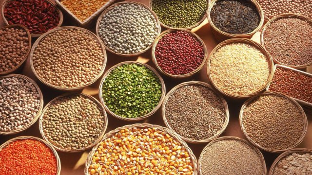 Rice,Atta,Flour & Other Grains – Page 2 – Laguna Mart by Myra's